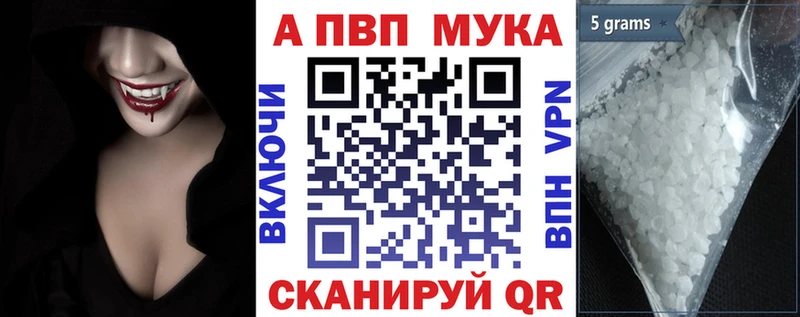 НБОМе Новосокольники