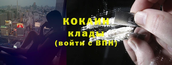 сатива Козельск