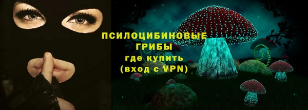 крисы Бугульма